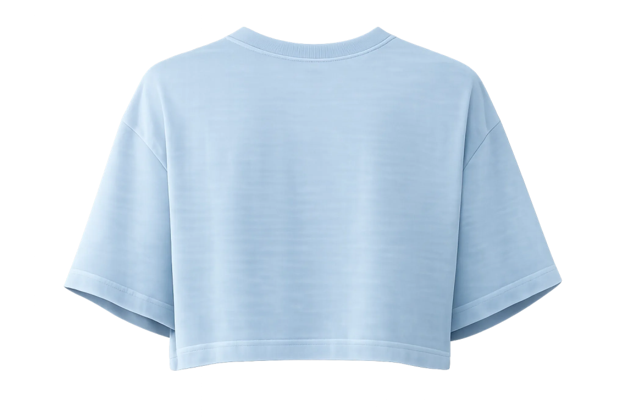 Cropped Blue Back